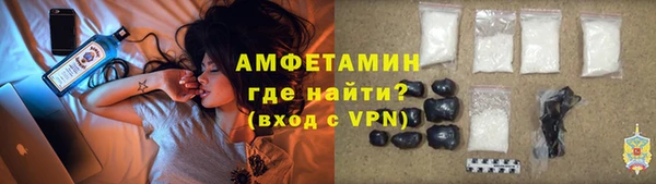 прущие грибы Абаза