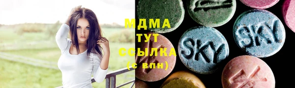 прущие грибы Абаза