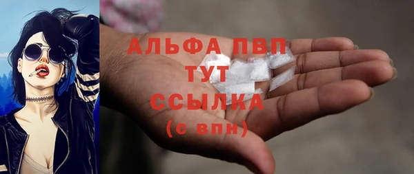 прущие грибы Абаза