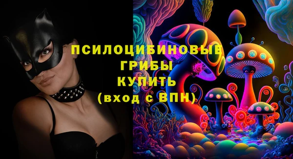 прущие грибы Абаза